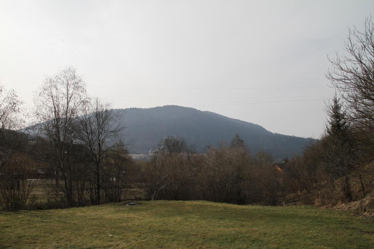 Купецький Двір Hotell Mizhhirya  Exteriör bild