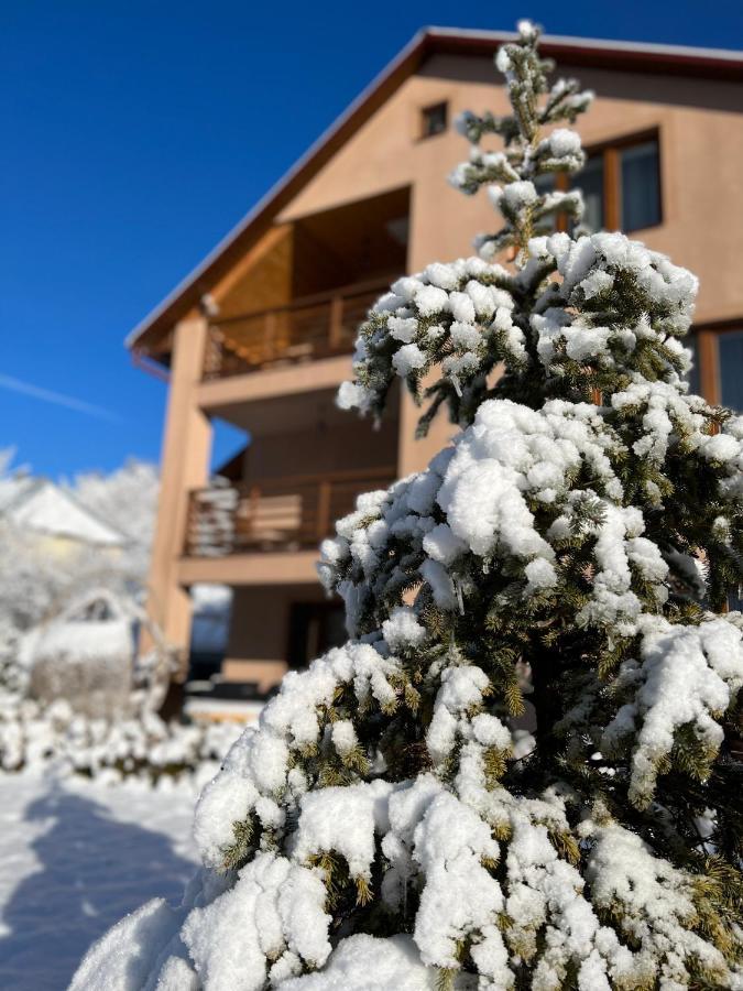 Купецький Двір Hotell Mizhhirya  Exteriör bild